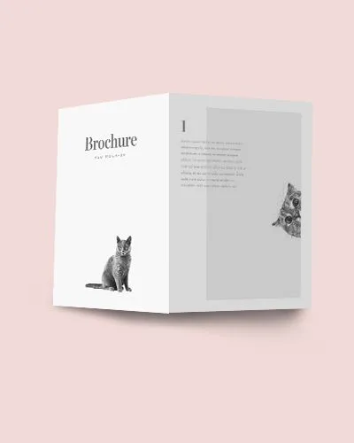 Portfolio Item - 开云